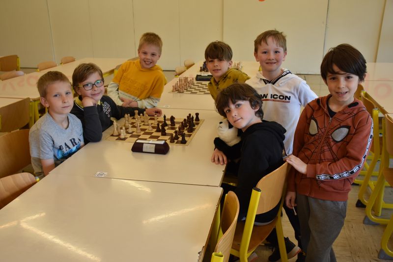Posamično šahovsko prvenstvo osnovnih šol Ljubljane