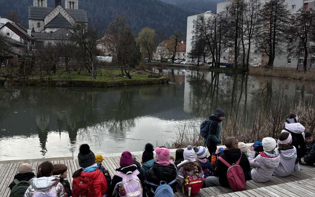 ŠVN 3. razred, Kočevje